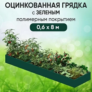 Грядка зеленая (0,6 х 8)